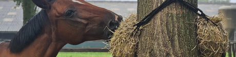 Welke slowfeeder of hooinet is het beste voor mijn paard