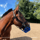 Paard met blauw greenguard graasmasker