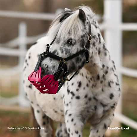 Shedlandpony met graasmaskerhalster van GG-Equine