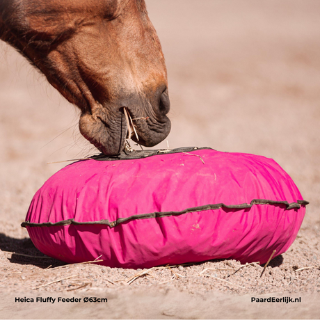 Paard eet uit roze Heica fluffy Feeder