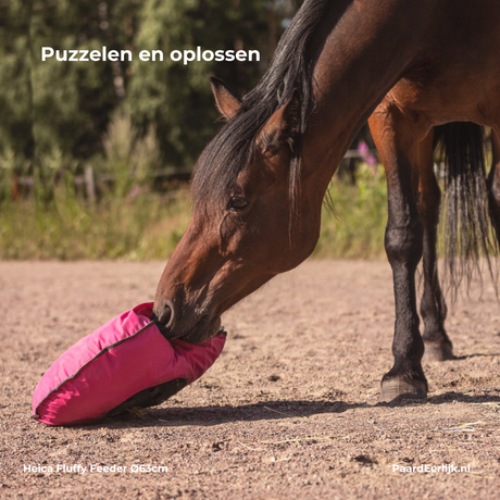 Paard speelt met een heica fluffy feeder hooikussen