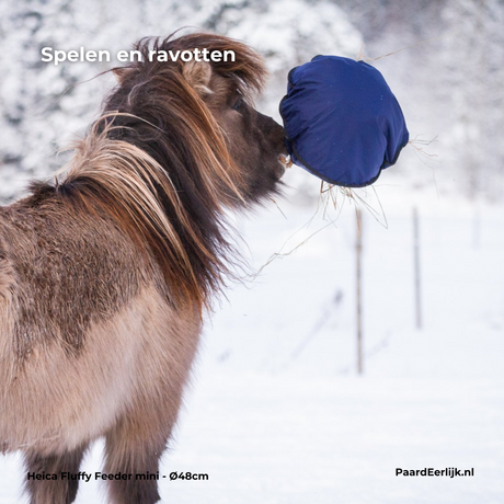 Pony speelt met heica fluffy feeder mini in de sneeuw