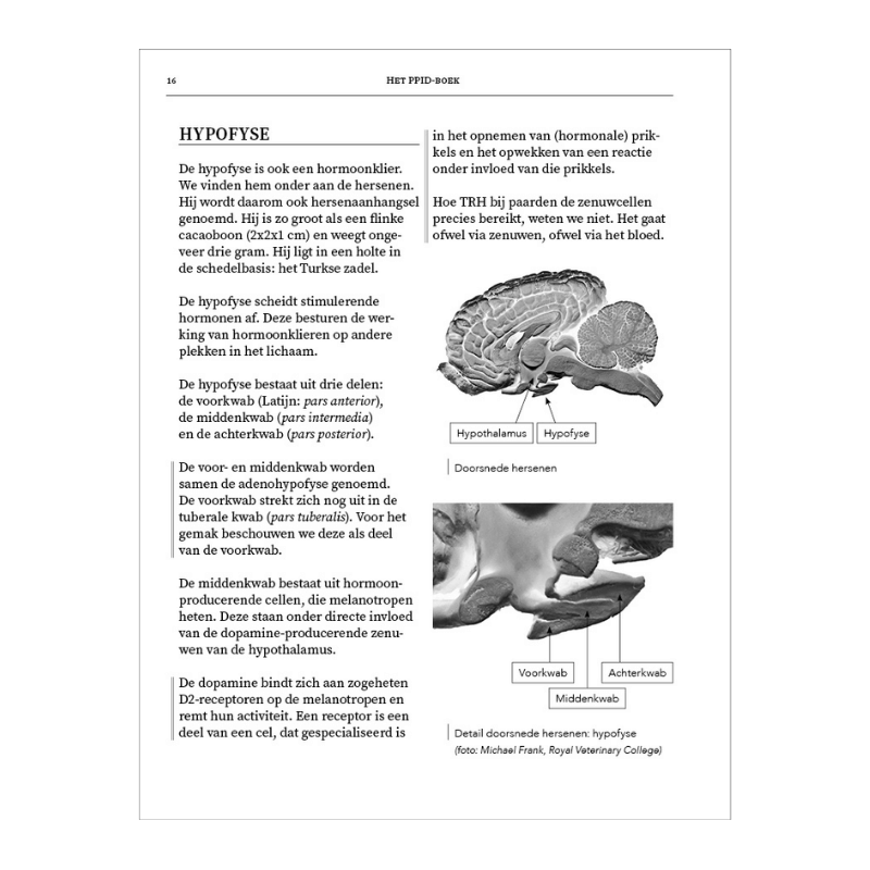 Pagina 16 van het boek met alle informatie over PPID bij paarden van Remco Sikkel