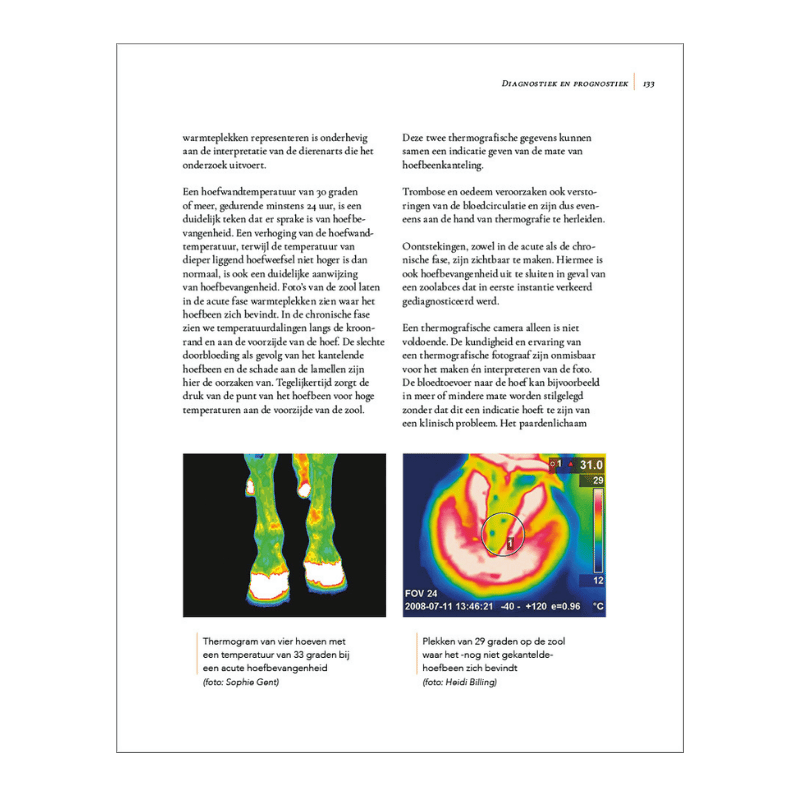 Pagina  133 uit hoefbevangenheid begrijpen, genezen en voorkomen van Remco Sikkel