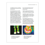 Pagina  133 uit hoefbevangenheid begrijpen, genezen en voorkomen van Remco Sikkel