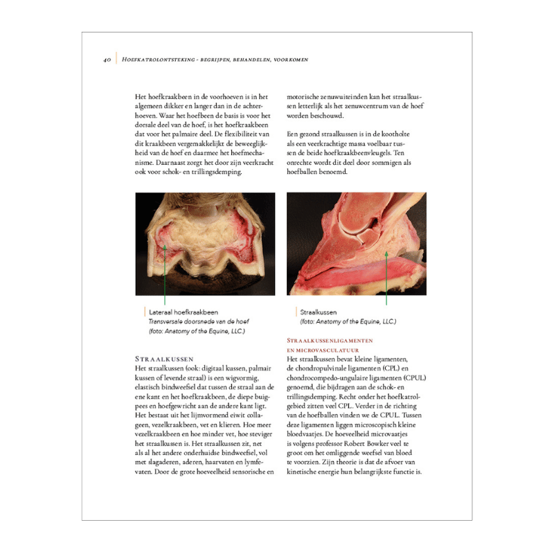 pagina 40 van het boek over hoefkatrol ontsteking van Remco Sikkel