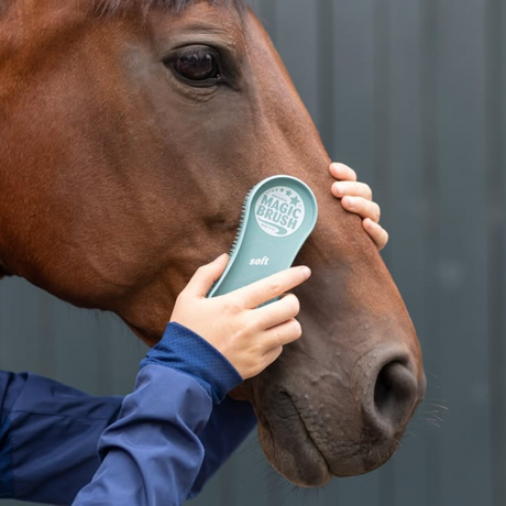 Paardenhoofd borstelen met magic brush soft van PaardEerlijk