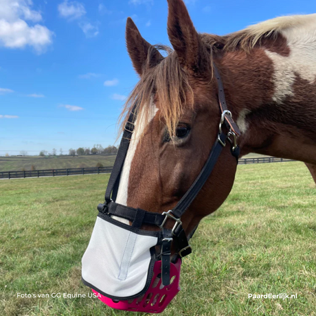 Geen zonnebrand  voor dit paard met de GreenGuard graasmasker uv beschemer