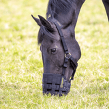 Paard eet met het Shires FreeGraze graasmasker zonder bont