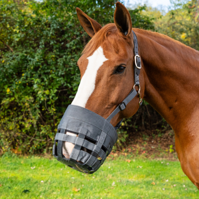 Bruin paard met grijs best friend deluxe plus graasmasker