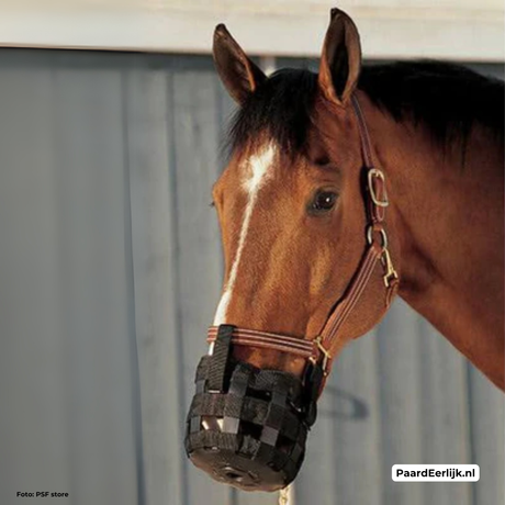 Paard draagt het Best Friend Standaard graasmasker aan een halster.