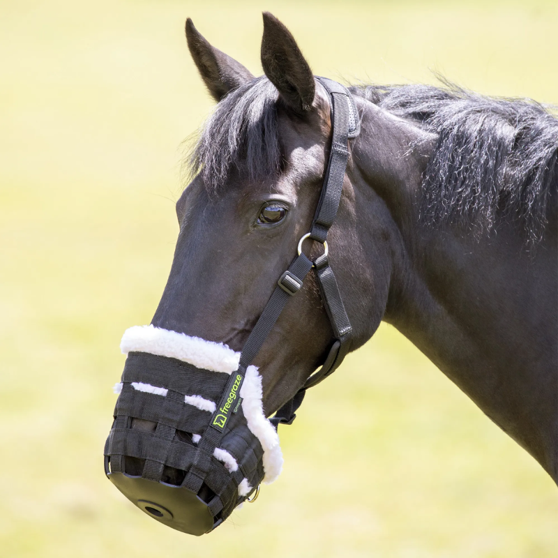 zwart paard met shires freegraze deluxe graasmasker