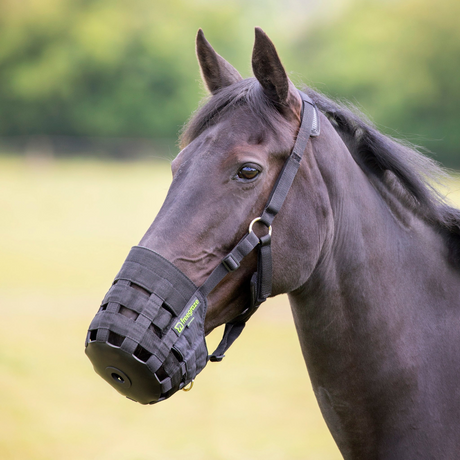 Paard draagt het Shires FreeGraze graasmasker