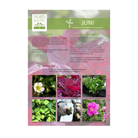 maand juni uit de Paard en Plant jaar kalender