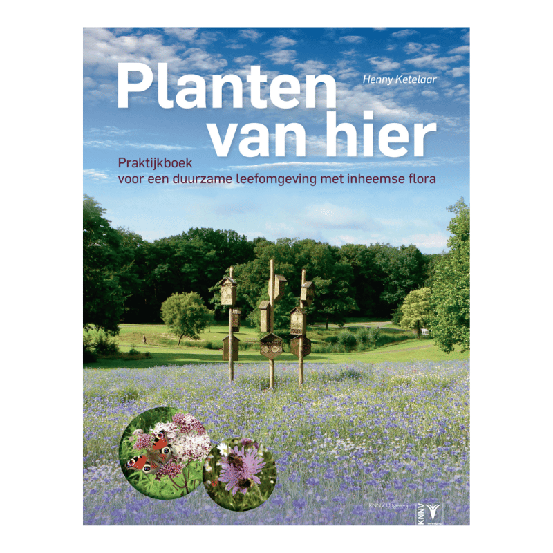 Boek Planten van hier voor een biodiverse bloemenweide met inheemse soorten