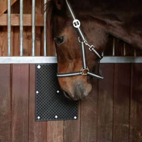 Paard schuurt hoofd aan paarden schuurmat in stal