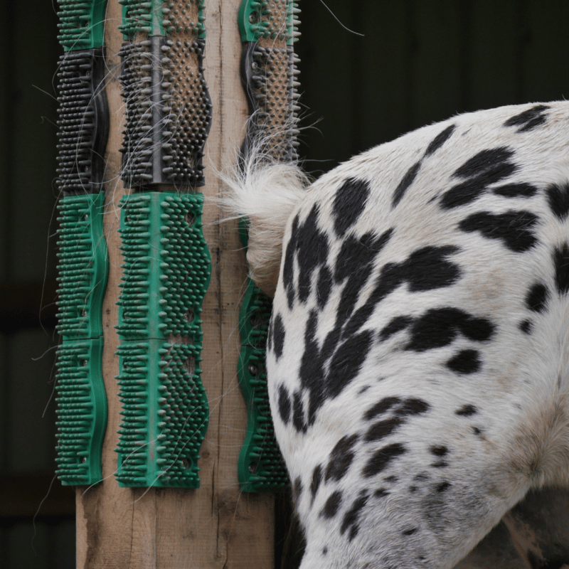 Paard schuurt tegen duurzame slijtvaste schuurmat van Scratch n All