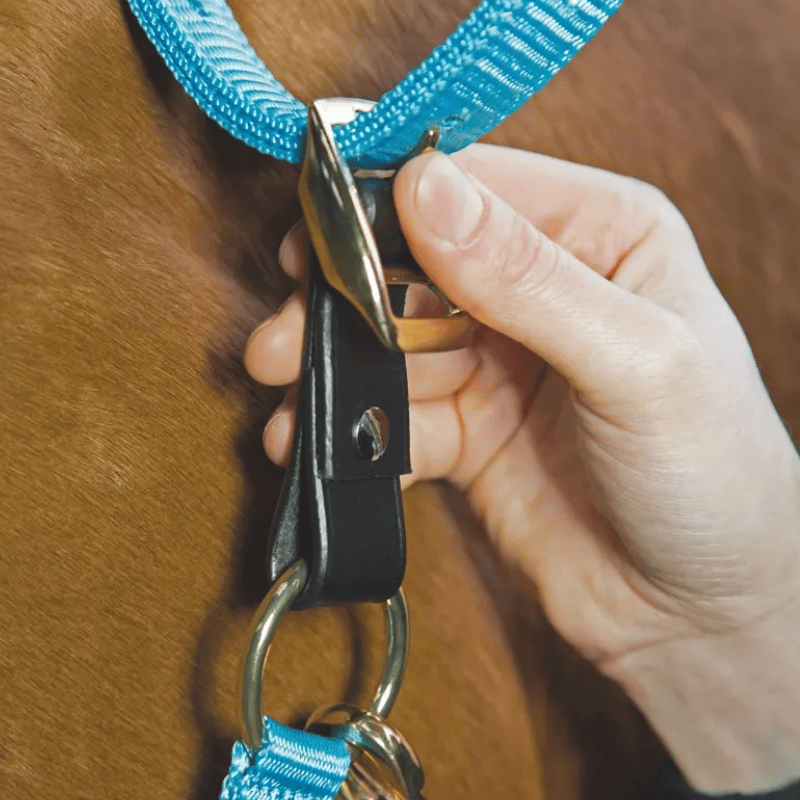 Het lederen veiligheidstussenstukje toegepast bij een paardenhalster.