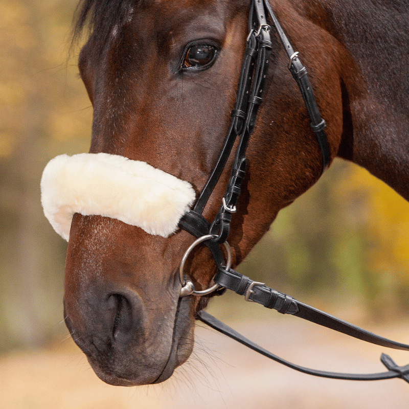 Een wit neusbontje staat verzorgd en fris daarbij beschermt het de huid van je paard