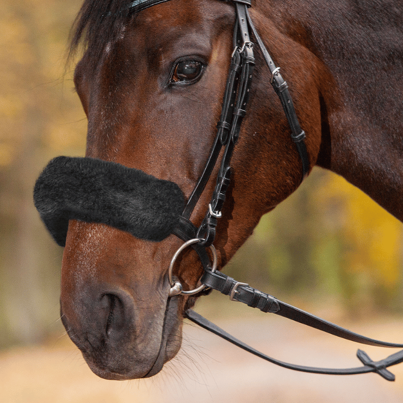 Een zwart neusbontje staat chique en is minder besmettelijk. Geef je paard de bescherming die hij nodig heeft.