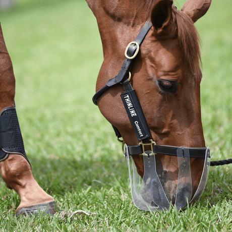 Paard graast met Thinline flexible filly graasmasker. Het zachte doorzichtige graasmasker.