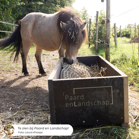 Pony eet uit een slowfeeder tunnel in een houten bak.