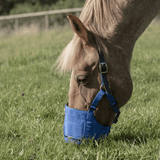 Paard graast met the Ultimate muzzle graasmasker