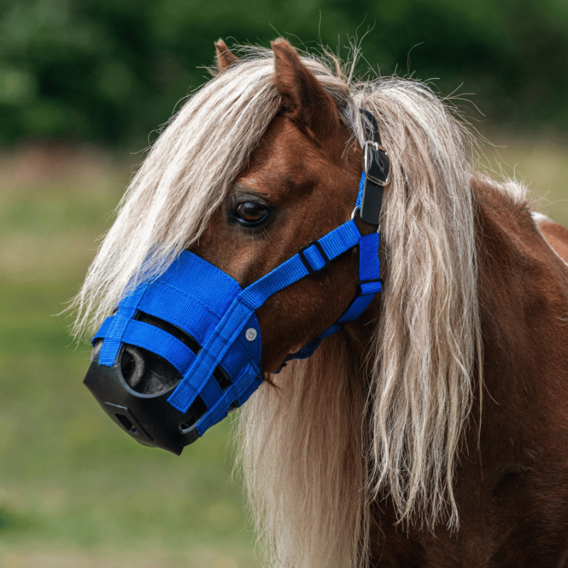 Shetlandpony met the ultimate muzzle graasmasker