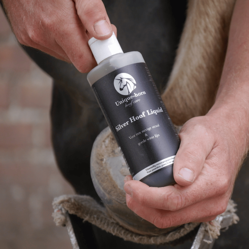 Unique-horn Silver Hoof Liquid in gebruik bij hoefinfectie