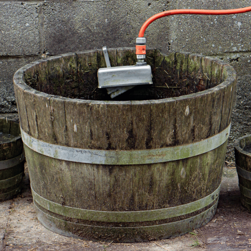 Waterbuddy vult automatisch de waterbak voor paarden als er uit gedronken is.