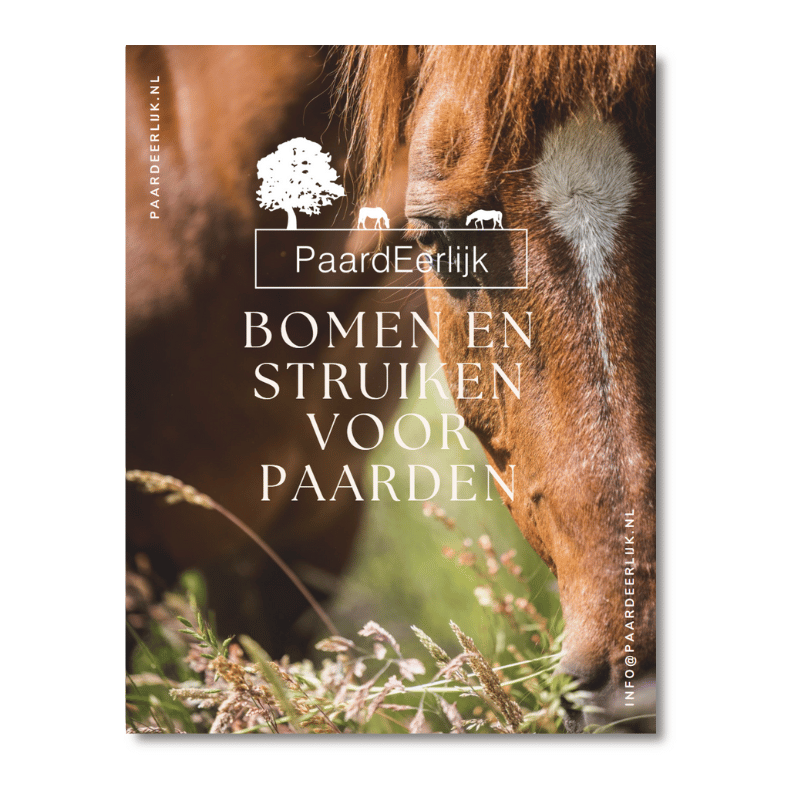 Ontdek de juiste bomen en struiken voor paarden met dit eBook