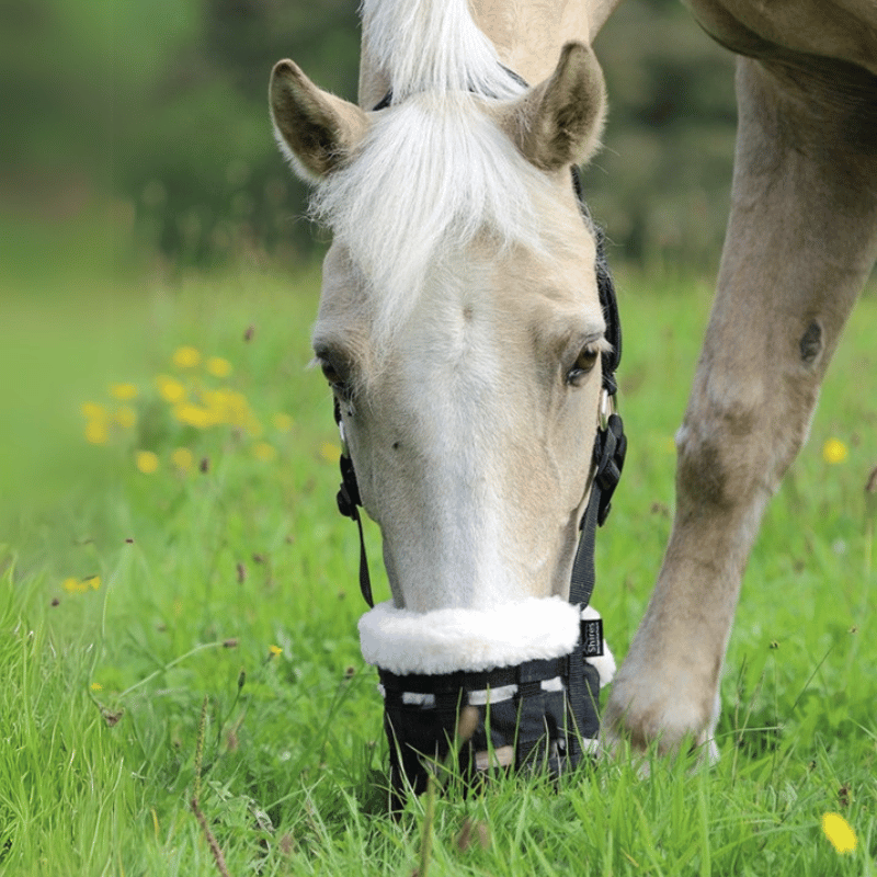 Paard graast met shires freegraze graasmasker met bont.