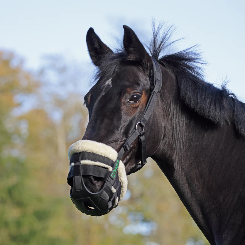 Shires FreeGraze Deluxe AirFlow Weide-Maulkorb