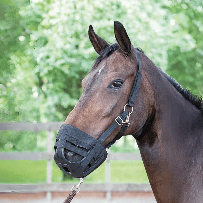 Paard met Harry Horse Air Graasmasker